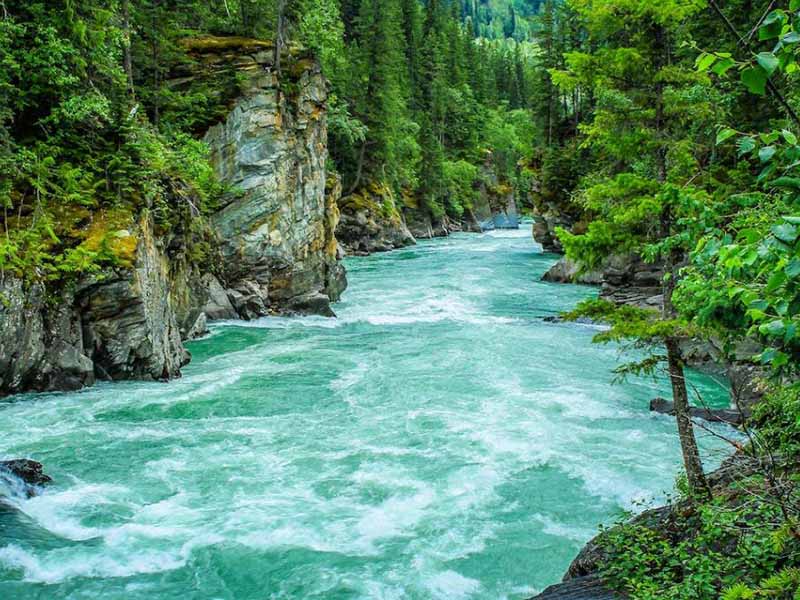 過(guò)程型水質(zhì)監(jiān)測(cè)儀檢測(cè)指標(biāo)