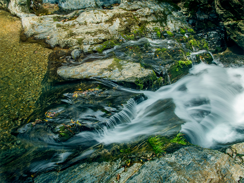 水體富營(yíng)養(yǎng)化的危害
