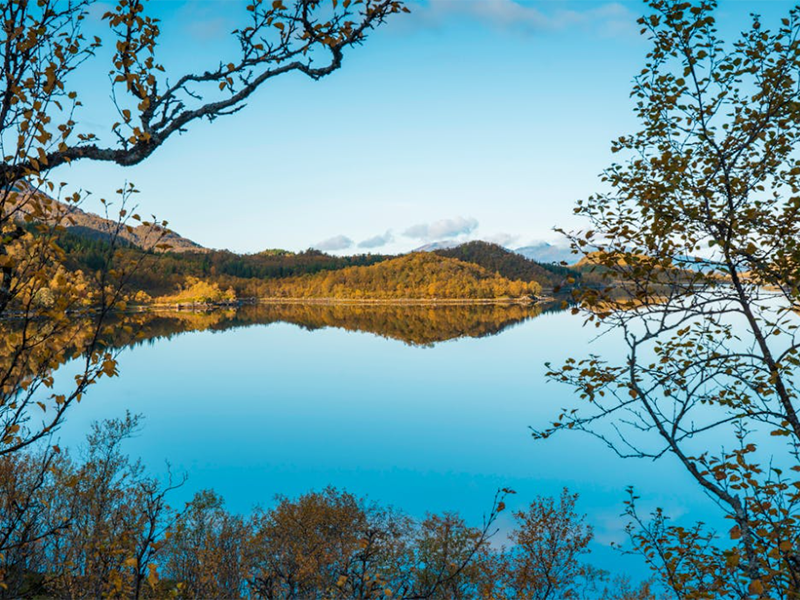 紫外分光光度計(jì)主要組成部分