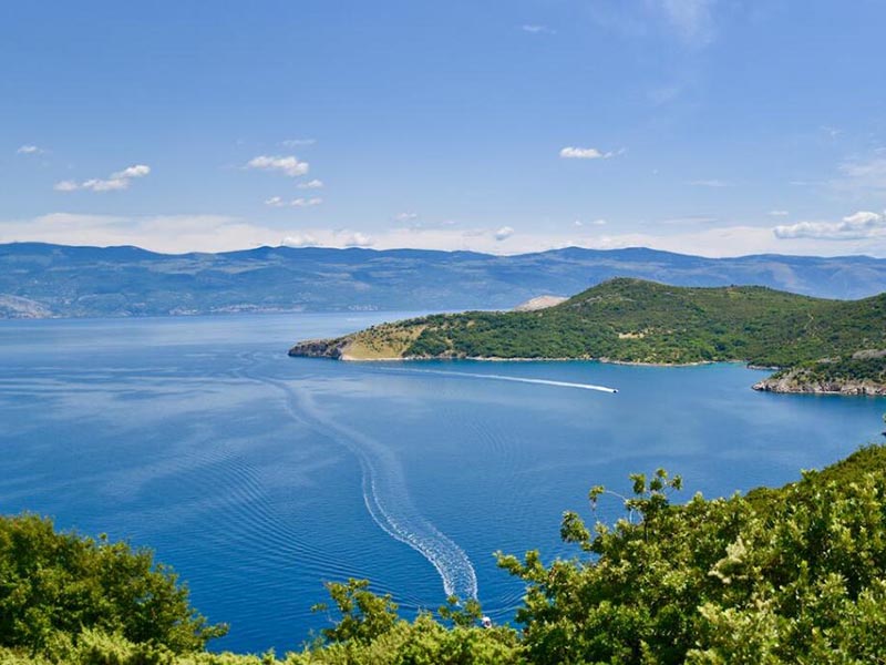 便攜式COD測(cè)定儀詳細(xì)操作步驟