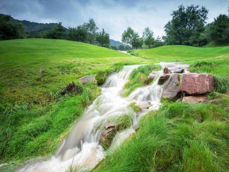 氨氮與總氮的關(guān)系