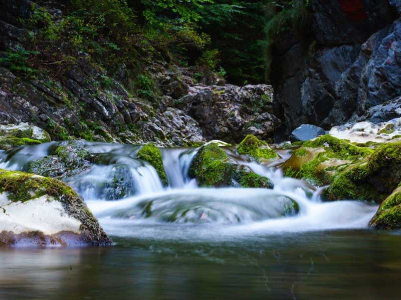 便攜式總磷測定儀的特點