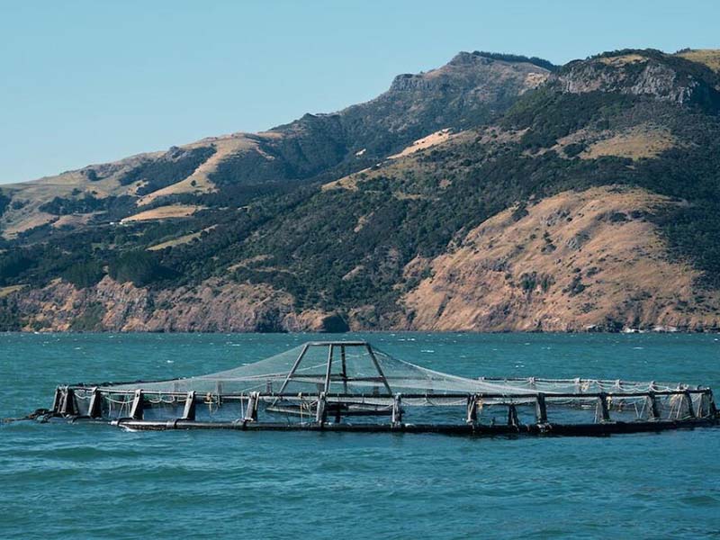 水中油分析儀操作流程