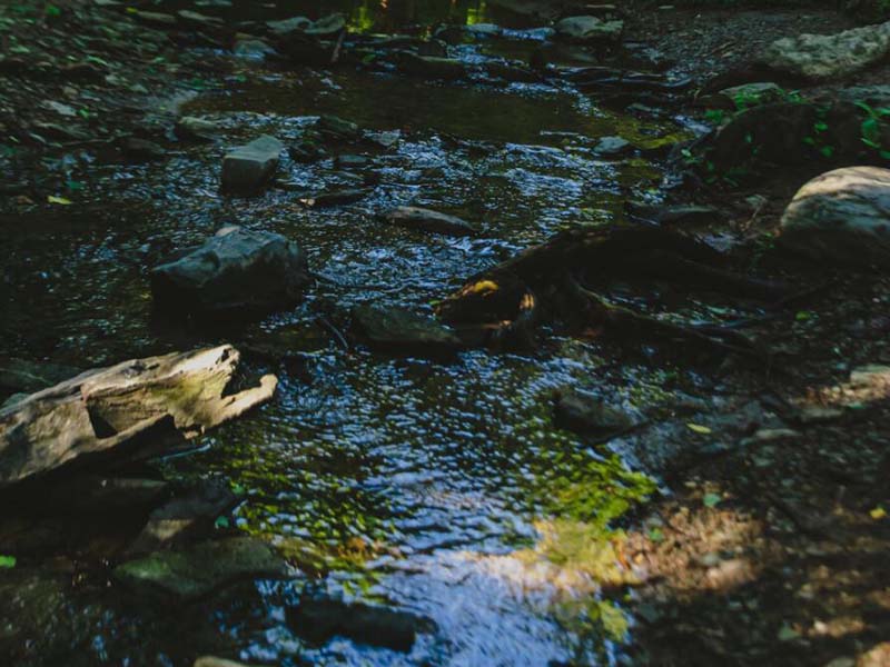 地表水檢測的主要內容