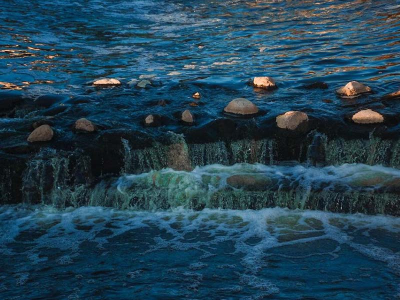 污水氟化物超標(biāo)處理方法