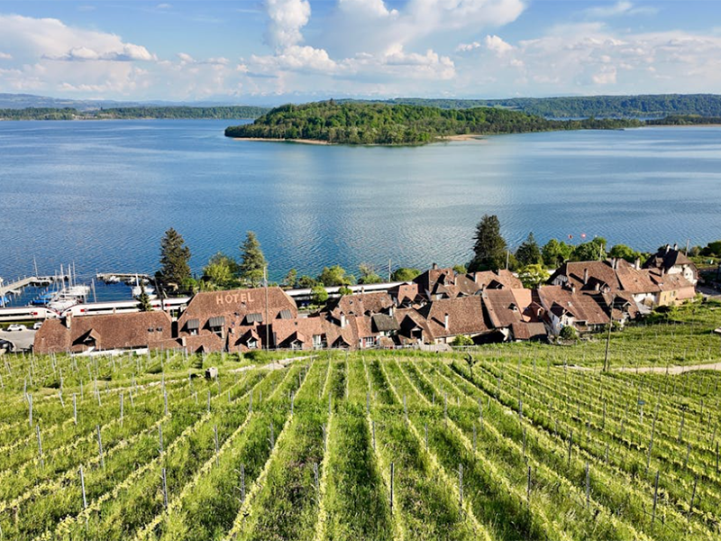 灌溉用水需要進行水質檢測嗎