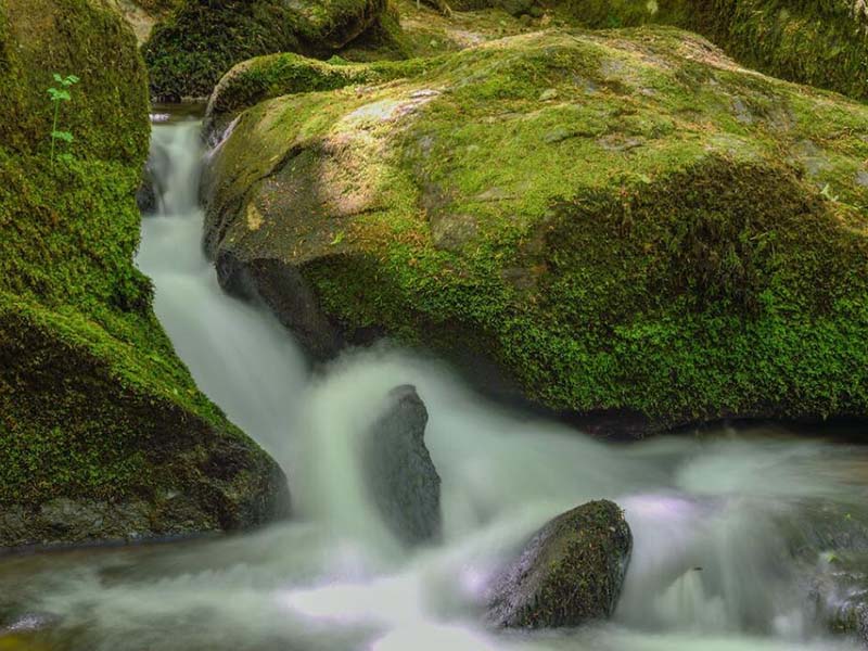 總氮檢測(cè)儀的工作原理