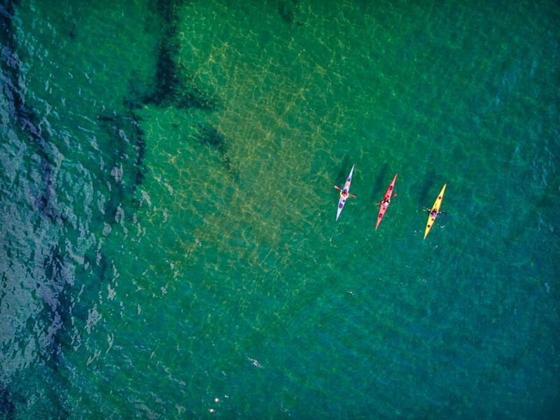在線溶解氧分析儀由哪些部件組成