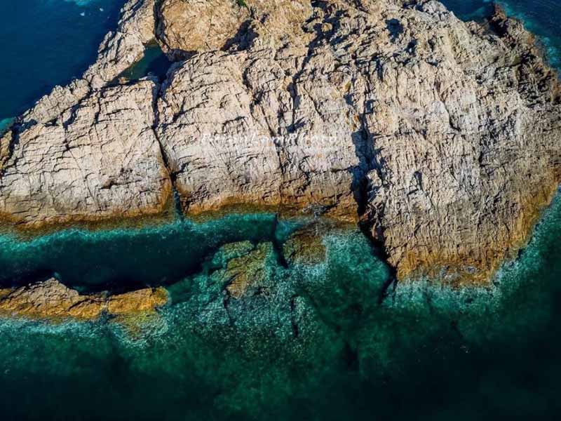 大腸埃希氏菌檢測標準