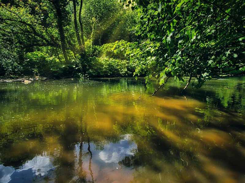 葉綠素a藍(lán)綠藻分析儀使用流程