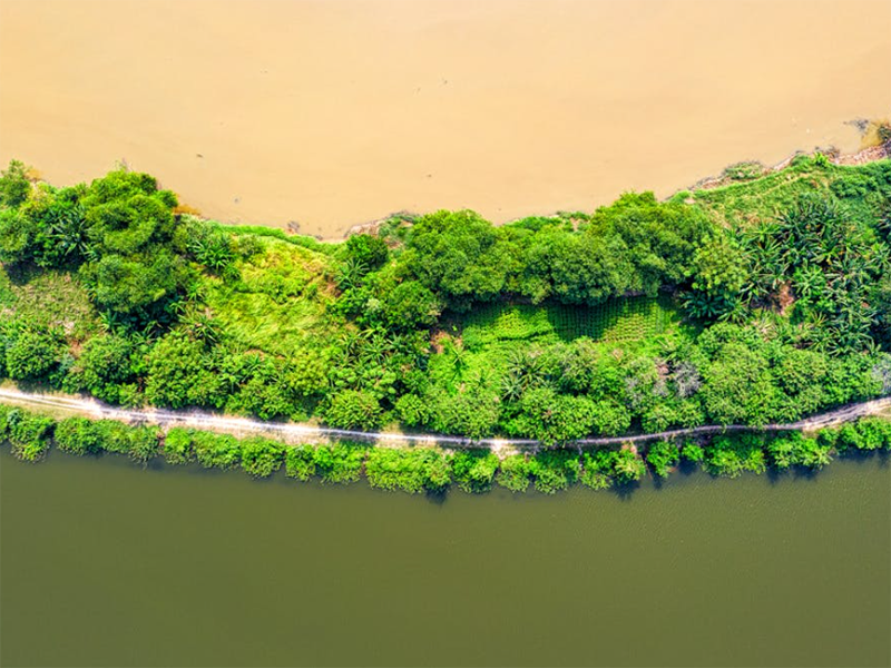 水源藻類對自來水生產(chǎn)工藝的影響