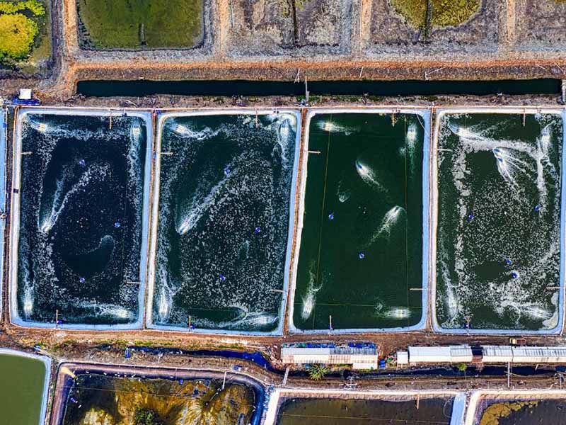 pH在線(xiàn)分析儀電極維護(hù)流程