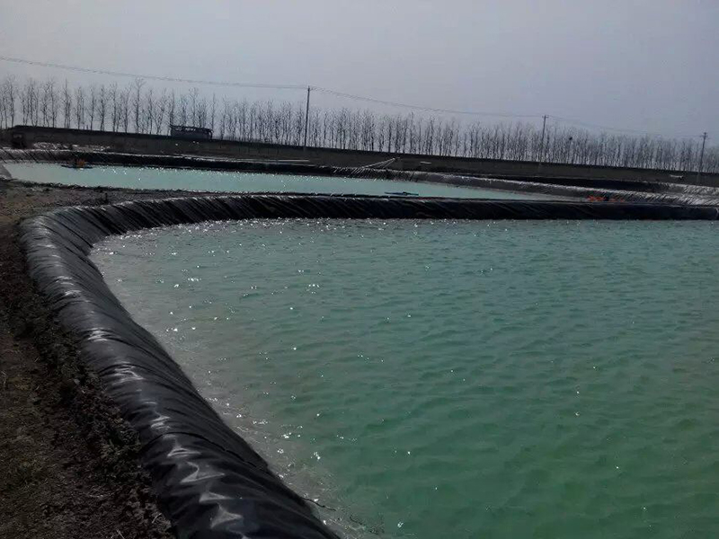 磷肥在水產(chǎn)養(yǎng)殖中可以起到怎樣的作用