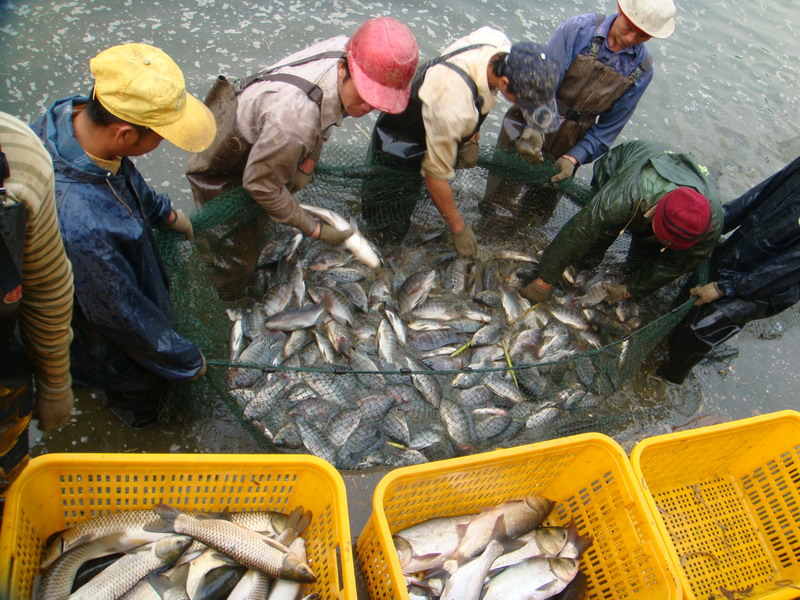 水質(zhì)的檢測(cè)對(duì)水產(chǎn)養(yǎng)殖重要嗎