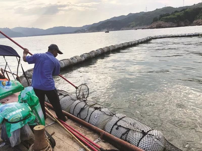 “肥水”對(duì)水產(chǎn)養(yǎng)殖有什么危害